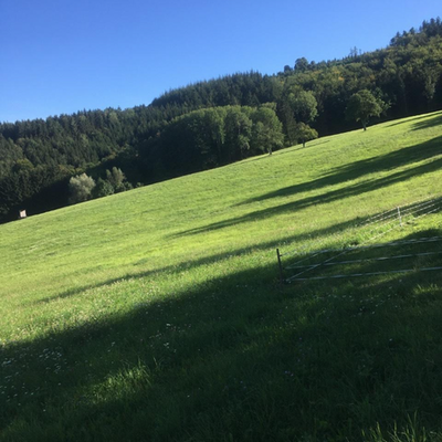 Futter - Bild1